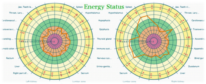 Bio-Well et statuts énergétiques